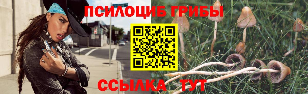 Миллерово  Псилоцибиновые грибы Psilocybe  Вход с VPN 